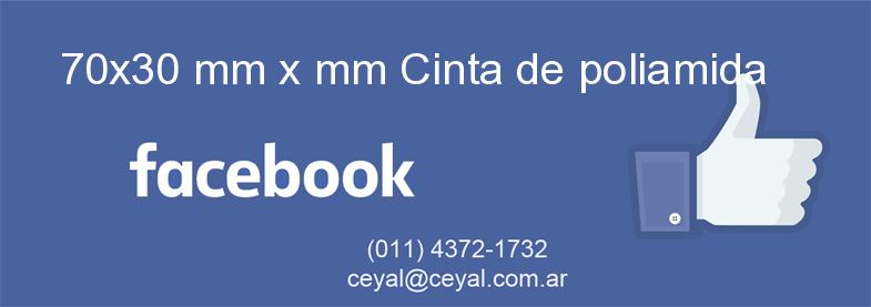 70x30 mm x mm Cinta de poliamida