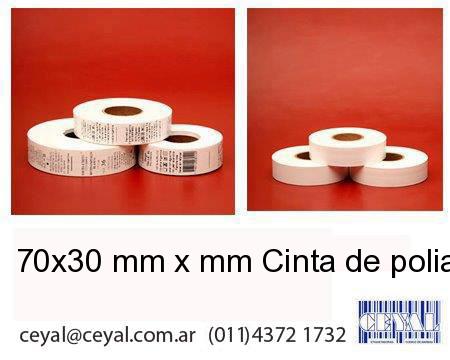 70×30 mm x mm Cinta de poliamida