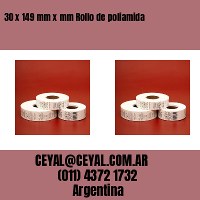 30 x 149 mm x mm Rollo de poliamida