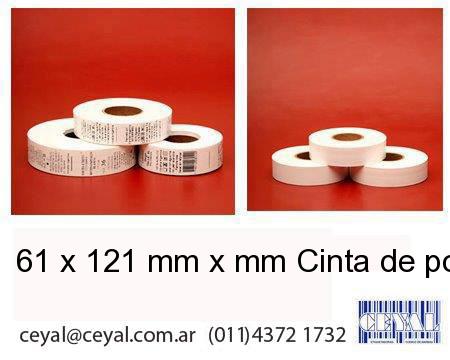 61 x 121 mm x mm Cinta de poliamida