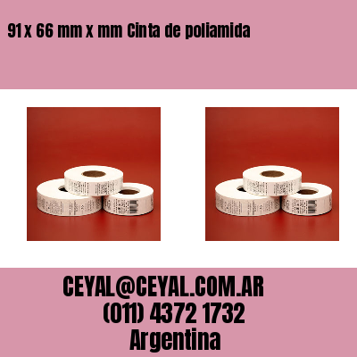 91 x 66 mm x mm Cinta de poliamida