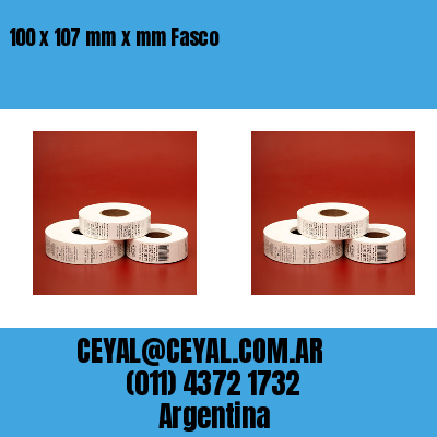 100 x 107 mm x mm Fasco