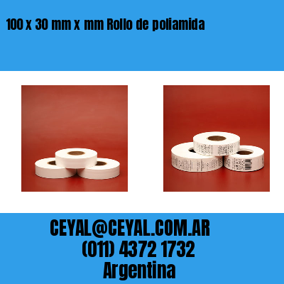 100 x 30 mm x mm Rollo de poliamida