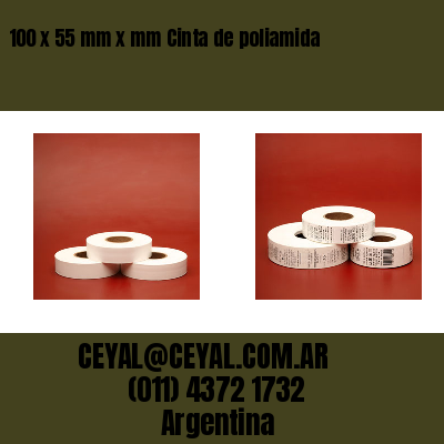 100 x 55 mm x mm Cinta de poliamida