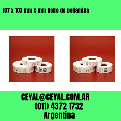 107 x 103 mm x mm Rollo de poliamida