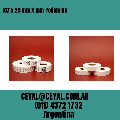 107 x 29 mm x mm Poliamida