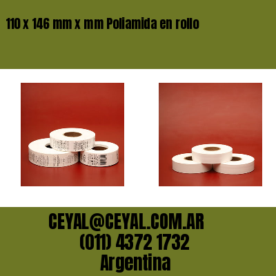 110 x 146 mm x mm Poliamida en rollo