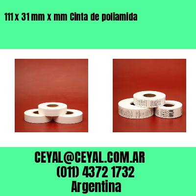 111 x 31 mm x mm Cinta de poliamida