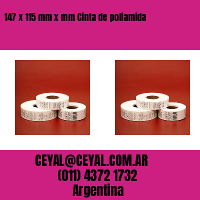 147 x 115 mm x mm Cinta de poliamida