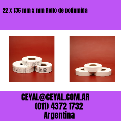 22 x 136 mm x mm Rollo de poliamida
