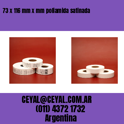 73 x 116 mm x mm poliamida satinada