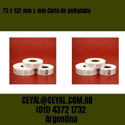 73 x 132 mm x mm Cinta de poliamida