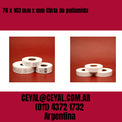 76 x 103 mm x mm Cinta de poliamida