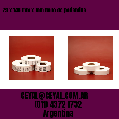 79 x 148 mm x mm Rollo de poliamida