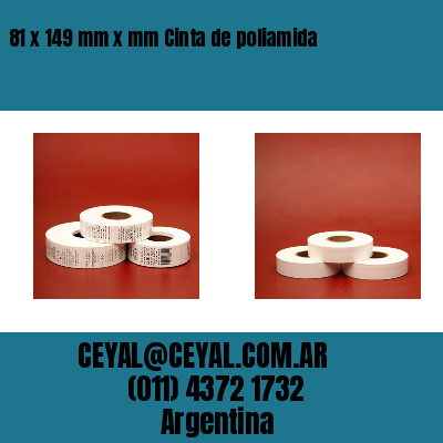 81 x 149 mm x mm Cinta de poliamida
