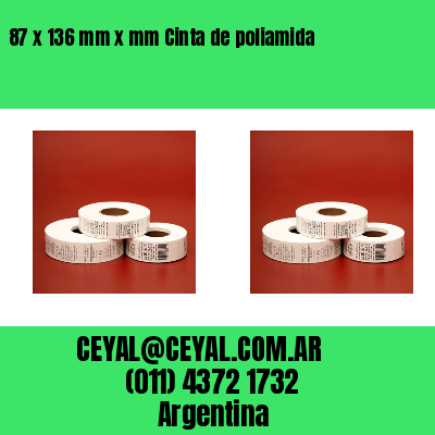 87 x 136 mm x mm Cinta de poliamida
