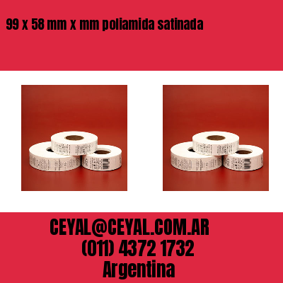 99 x 58 mm x mm poliamida satinada