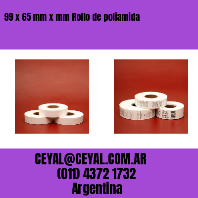 99 x 65 mm x mm Rollo de poliamida