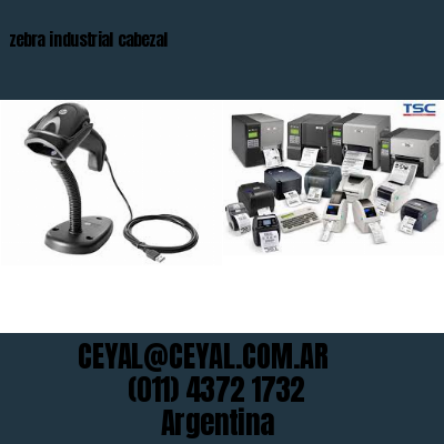 zebra industrial cabezal