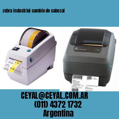 zebra industrial cambio de cabezal