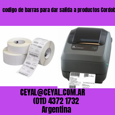 codigo de barras para dar salida a productos Cordoba Argentina