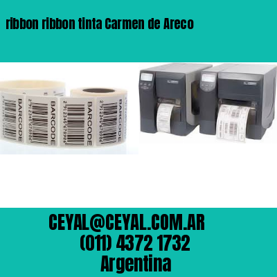ribbon ribbon tinta Carmen de Areco
