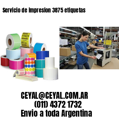 Servicio de impresion 3875 etiquetas
