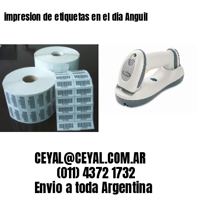 impresion de etiquetas en el dia Anguil