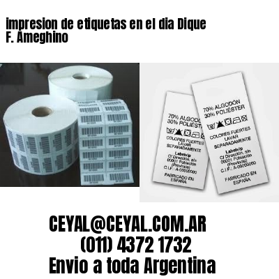 impresion de etiquetas en el dia Dique F. Ameghino