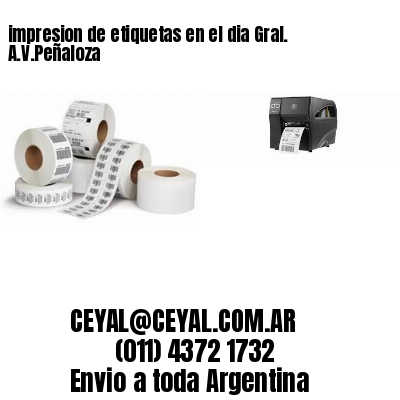 impresion de etiquetas en el dia Gral. A.V.Peñaloza