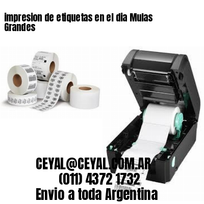 impresion de etiquetas en el dia Mulas Grandes