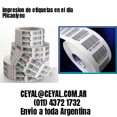 impresion de etiquetas en el dia Pilcaniyeu
