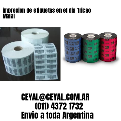 impresion de etiquetas en el dia Tricao Malal