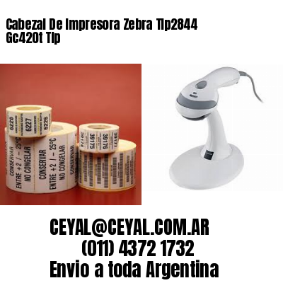 Cabezal De Impresora Zebra Tlp2844 Gc420t Tlp