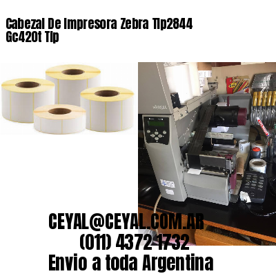 Cabezal De Impresora Zebra Tlp2844 Gc420t Tlp