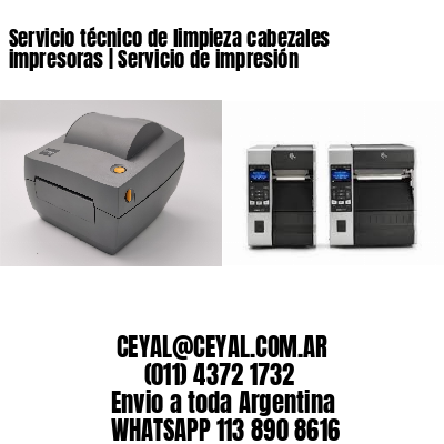 Servicio técnico de limpieza cabezales impresoras | Servicio de impresión