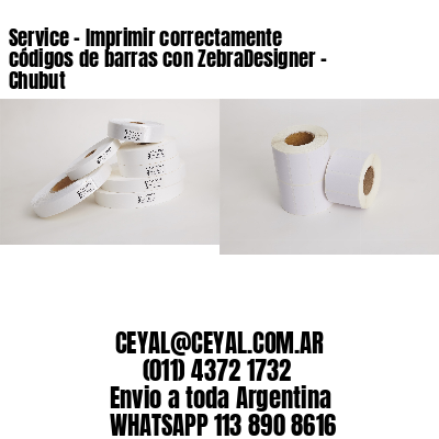 Service – Imprimir correctamente códigos de barras con ZebraDesigner – Chubut