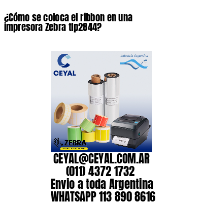 ¿Cómo se coloca el ribbon en una impresora Zebra tlp2844?