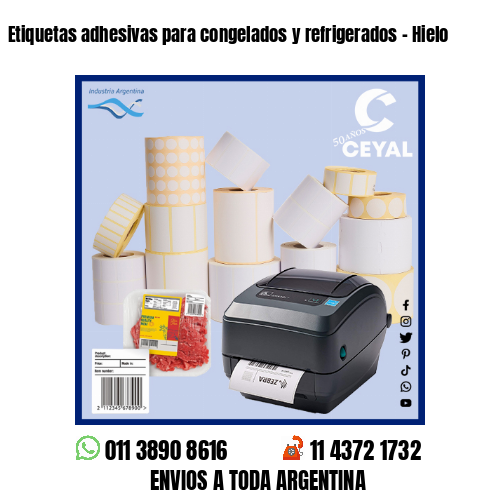 Etiquetas adhesivas para congelados y refrigerados – Hielo
