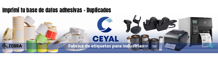 Imprimí tu base de datos adhesivas - Duplicados