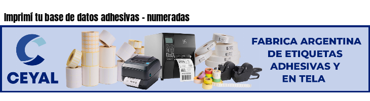 Imprimí tu base de datos adhesivas - numeradas