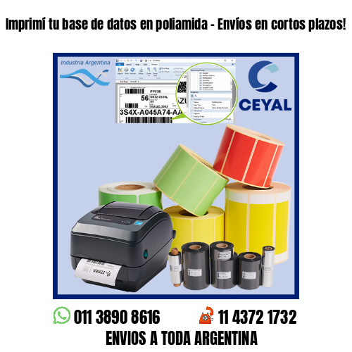 Imprimí tu base de datos en poliamida – Envíos en cortos plazos!