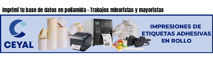Imprimí tu base de datos en poliamida - Trabajos minoristas y mayoristas