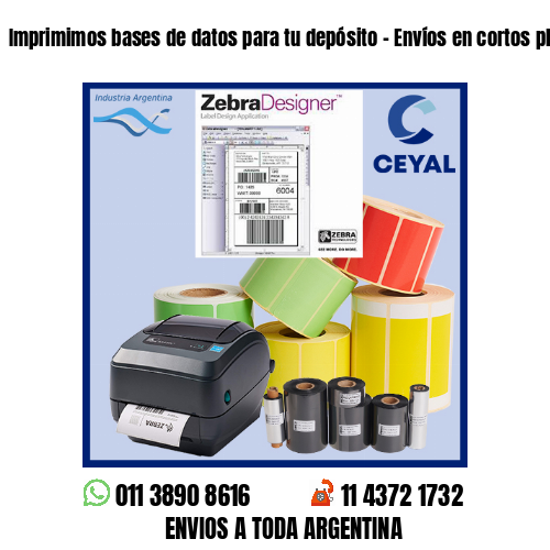 Imprimimos bases de datos para tu depósito – Envíos en cortos plazos!