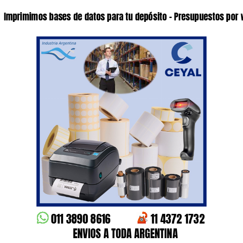 Imprimimos bases de datos para tu depósito – Presupuestos por whatsapp!