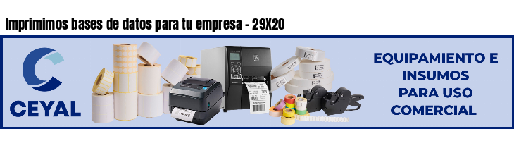 Imprimimos bases de datos para tu empresa - 29X20