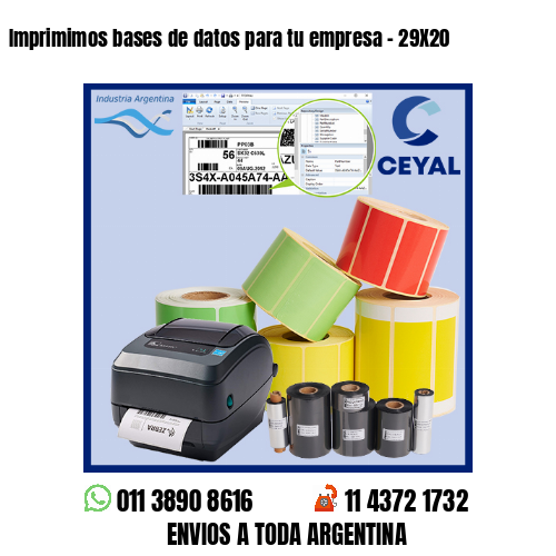 Imprimimos bases de datos para tu empresa – 29X20