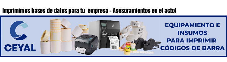 Imprimimos bases de datos para tu  empresa - Asesoramientos en el acto!