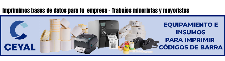 Imprimimos bases de datos para tu  empresa - Trabajos minoristas y mayoristas