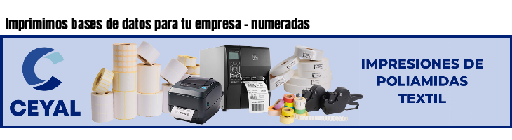 Imprimimos bases de datos para tu empresa - numeradas